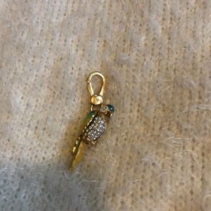 Parakeet Charm